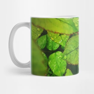 Rain drops on green leaves Mug